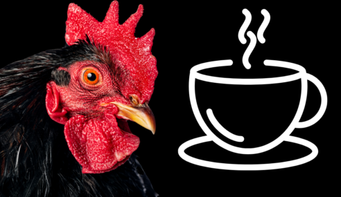 Coffee Episode 53: Outside Expectations