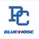 Presbyterian Blue Hose