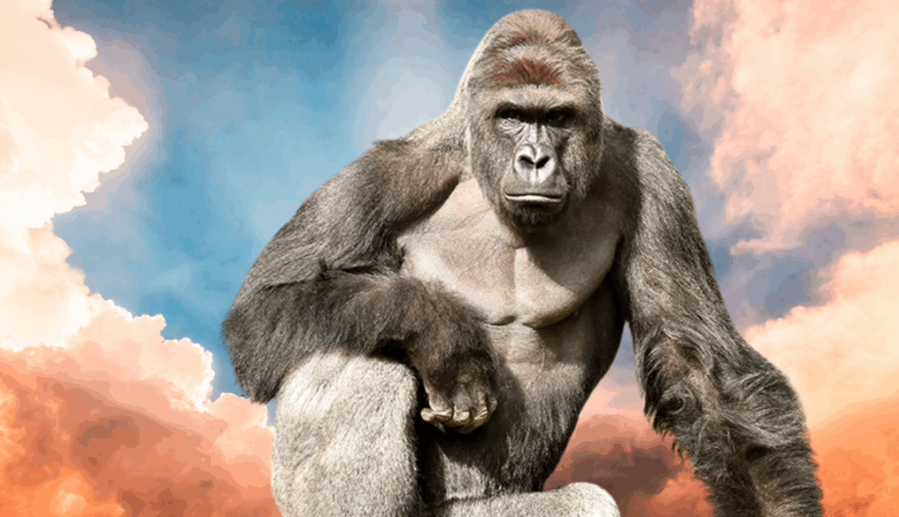 Nine Years Ago Today in Cincinnati..