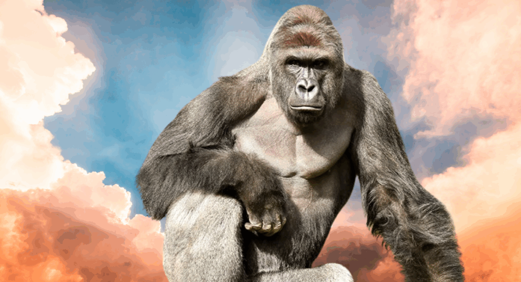 Harambe