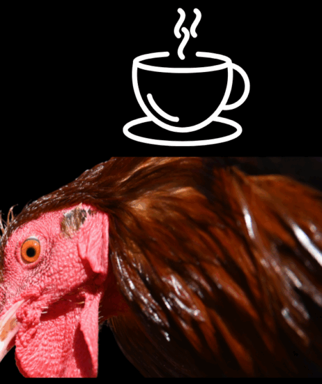 Coffee Episode 93