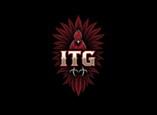 The Show: Two things to elevate