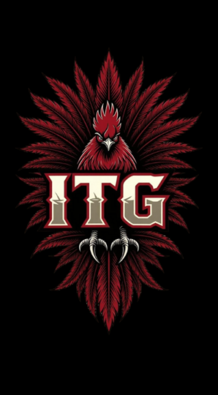 The Show: Two things to elevate