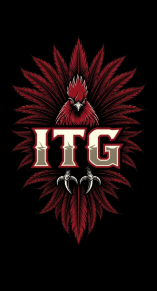 The Show: Park Across the Street