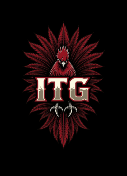 The Show: Inspiring the Middle Class