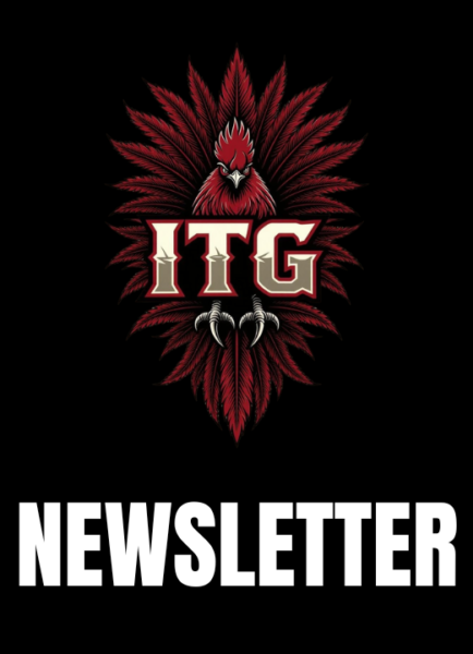 Sign Up for The Inside the Gamecocks Newsletter!